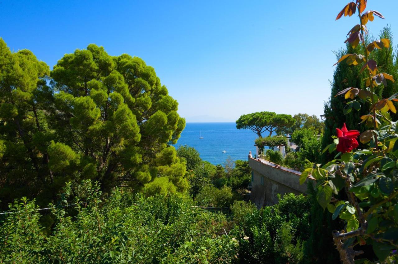 Hotel Parco Cartaromana Ischia Exterior foto